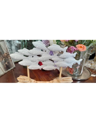 ΨΑΡΑΚΙΑ ΚΟΠΑΔΙ